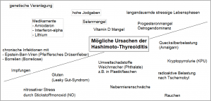 Ursachen für die Entstehung und Entwicklung einer Hashimoto-Thyreoiditis