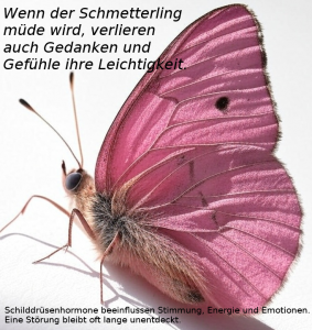 Bild eines Schmetterlings / Wenn der Schmetterling müde wird, verlieren auch Gedanken und Gefühle ihre Leichtigkeit.